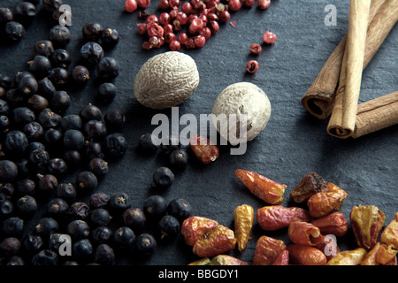 Verschiedene Gewürze auf einem Schiefer, Wacholder, Chilischoten, Paprika, Muskatnuss, Zimt-sticks Stockfoto