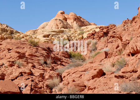 Im Bereich der Kieselsäure Kuppel, Valley of Fire State Park, Las Vegas, Nevada, USA Nordosten Stockfoto