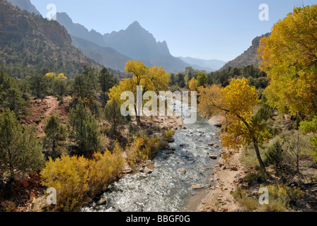 North Fork Virgin River im Zion Canyon, Zion Nationalpark, Utah, USA Stockfoto