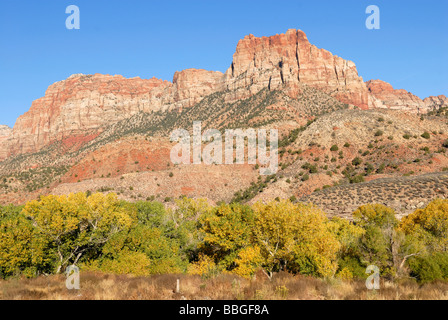 Die Wächter, Springdale, Herbststimmung am Südeingang der Zion Nationalpark, Utah, USA Stockfoto