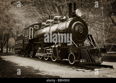 Dieser alten Stamm-Motor, "Alte Nummer sechs", finden Sie in Washingtons North Cascades Stadt des Newhalem. Stockfoto