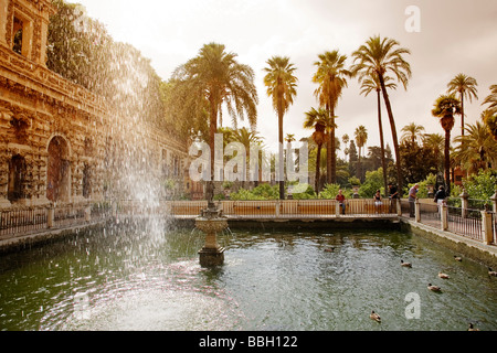 Fuente de Neptuno Reales Alcázares Sevilla Andalusien España Neptuno Brunnen in Los Reales Alcazares Sevilla Andalusien Spanien Stockfoto