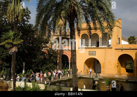 Jardines de Los Reales Alcázares Sevilla Andalusien España Gärten von Los Reales Alcazares Sevilla Andalusien Spanien Stockfoto