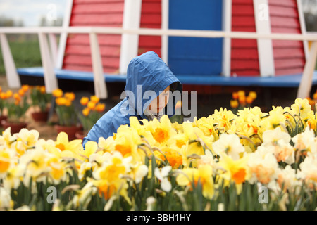 Kleiner Junge in Regenjacke Blumen riechen Stockfoto