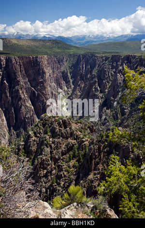 Blick vom Warner Point des Black Canyon des Gunnison National Park Colorado USA Stockfoto