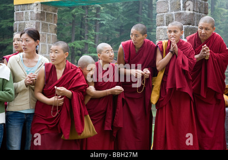 Tibetische Mönche warten auf den Dalai Lama. Dal-See. McLeod Ganj. Dharamsala. Himachal Pradesh. Indien Stockfoto