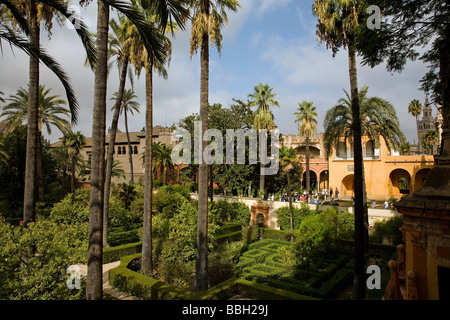 Jardines de Los Reales Alcázares Sevilla Andalusien España Gärten von Los Reales Alcazares Sevilla Andalusien Spanien Stockfoto