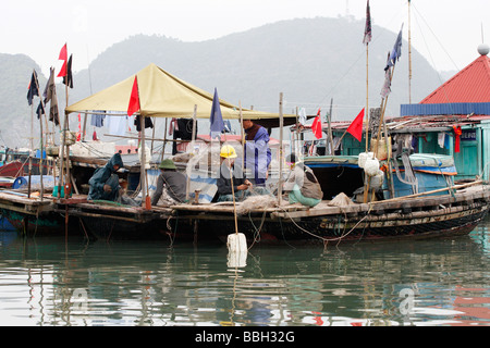 Vietnamesischer Fischer, [Angelboote/Fischerboote] und Netze, Cat-Ba-Insel, [Halong Bay], Vietnam Stockfoto