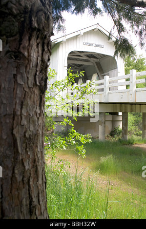 Grab Creek bedeckt Brücke Josephine County Oregon Sun Valley Stockfoto