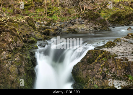 Skelwith Force Wasserfall auf den Fluß Brathay in der Nähe von Elterwater Seenplatte Cumbria Uk Stockfoto