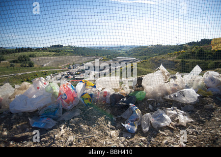 Abfälle mit Anlage auf Hintergrund Stockfoto