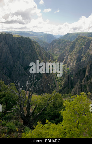 Blick vom Tomichi Punkt Black Canyon des Gunnison National Park Colorado USA Stockfoto