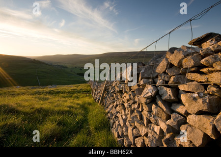 Eine Trockensteinmauer führt das Auge entlang Littondale, in den Yorkshire Dales, von oben das Dorf Arncliffe. Stockfoto