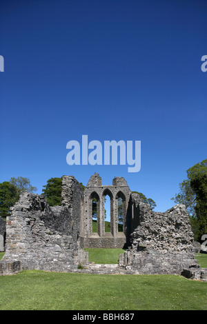 Zoll-Abtei Grafschaft unten Nordirland Vereinigtes Königreich Ruinen die Abtei stammen aus 1180 als die Zisterzienserabtei gegründet wurde Stockfoto