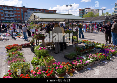 Flohmarkt am Main Square Lappeenranta Lakeland Karelien Finnland Stockfoto