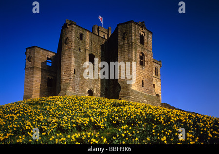 Ein Spring-Time-Ansicht der Warkworth Castle in Northumberland, England Stockfoto