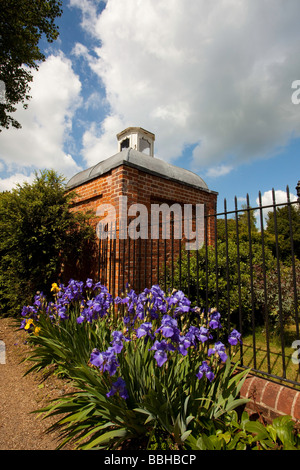 Iris' - Bridge End Garden, Saffron Walden Stockfoto