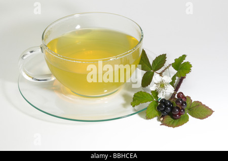 Brombeere (Rubus Fruticosus). Eine Tasse Tee mit Blume Blatt und Brombeere, Studio Bild Stockfoto