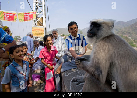 Indische Kinder, die Nahrung mit einem grauen Languren-Affen geben. Lakshman Jhula. Rishikesh. Uttarakhand. Indien Stockfoto