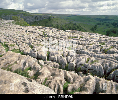 Kalkstein Pflaster über Malham Cove, Malhamdale, Yorkshire Dales National Park, North Yorkshire, England, UK. Stockfoto