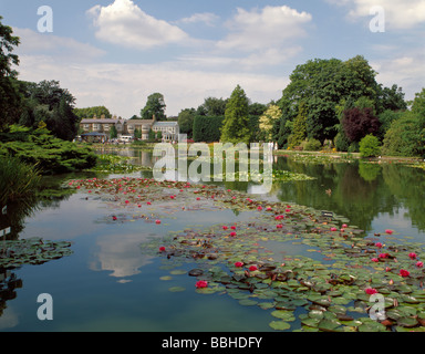 Burnby Hall Gardens (National Water Lily Collection), in der Nähe von Plocklington, East Yorkshire, England, UK. Stockfoto