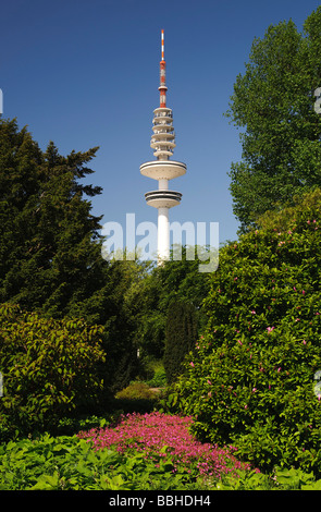 Park Planten un Blomen, im Rücken der Heinrich-Hertz-Turm TV Turm, Tele-Michel, Tele Michel, Hamburg, Deutschland, Europa Stockfoto