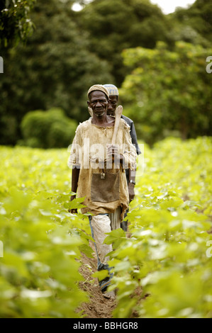 Arbeiter auf der Kolanjeba Bio Baumwolle-Bauernhof in der Nähe von dem Dorf Djembala in Mali, Westafrika Rückkehr in die Heimat nach einem Arbeitstag Stockfoto