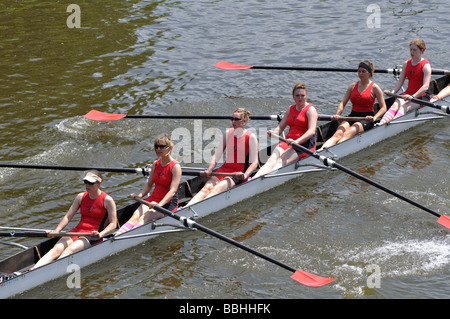 Oxford Universität Sommer Eights Rudern Stockfoto