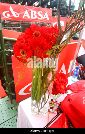 VIP-s und Gäste der ABSA besuchen gut dekorierte Festzelt während der A1 Grand Prix in Durban am 29. Januar 2006 Team Stockfoto