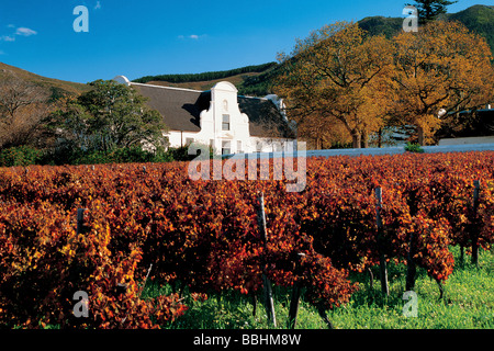 DIE HISTORISCHEN GEHÖFT VON GROOT CONSTANTIA IM KAP-HOLLÄNDISCHEN STIL ERBAUTE 1685 VON SIMON VAN DER STEL LANDESSTATTHALTER Stockfoto