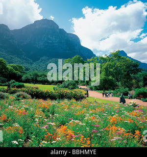 NACH DIE WINTERREGEN DIE ERDE GETRÄNKT HABEN VERWANDELT EIN WUNDER DER NATUR DIE LANDSCHAFT IN EIN FLORAL-WUNDERLAND Stockfoto