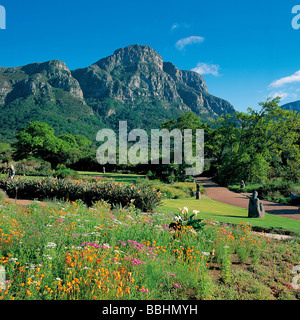 NACH DIE WINTERREGEN DIE ERDE GETRÄNKT HABEN VERWANDELT EIN WUNDER DER NATUR DIE LANDSCHAFT IN EIN FLORAL-WUNDERLAND Stockfoto