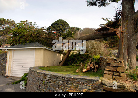 Ast, der an einer Garage gefallen ist Stockfoto
