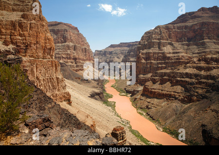 Orange farbigen Colorado River fließt durch den Grand Canyon in den North Rim. Stockfoto