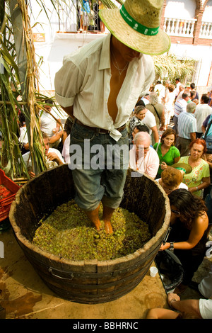 Menschen treten in Trauben in Wein Jahrgang Stockfoto