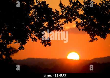 tiefes rot orange Sonnenuntergang, Kent, England Stockfoto