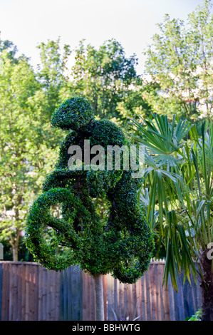 TOPIARY DRAHT FORMUNG Motorrad und Fahrer aus immergrünen Sträuchern durch geniale Anwendung von topiary Techniken in der Innenstadt Wohnblock Garten erstellt Stockfoto