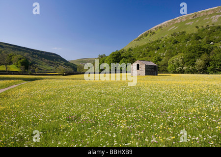 Stein Scheunen und Wildblumenwiesen nahe Muker Swaledale Yorkshire Dales National Park Stockfoto