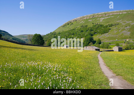 Stein Scheunen und Wildblumenwiesen nahe Muker Swaledale Yorkshire Dales National Park Stockfoto