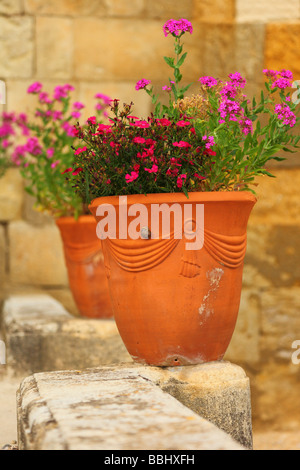 Flower Pot ehemaliger Erzbischof Blumengarten Saint Nazaire Kathedrale Beziers Herault Languedoc-Roussillon Frankreich Stockfoto