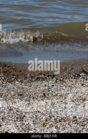 Verschmutzt einen Strand am Lake Erie von oben aus der Draufsicht niemand in Ohio USA niemand vertikal hochauflösende Stockfoto