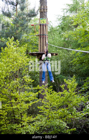 Gehen Sie Affe im freien Kurs - Wendover Woods - Buckinghamshire Stockfoto