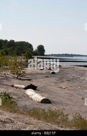 Verschmutzt einen Strand am Lake Erie von oben aus der Sicht von oben niemand in Ohio USA, vertikal hoch aufgesetzt Stockfoto