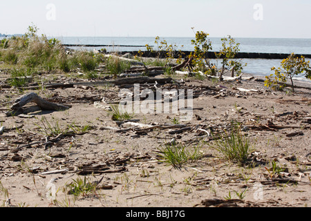 Verschmutzt einen Strand am Lake Erie von oben oben Niemand keine Fotos in Ohio USA horizontale Hi-res Stockfoto