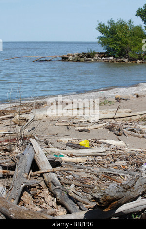 Verschmutzt einen Strand am Lake Erie von oben oben Niemand keine Fotos in Ohio USA vertikale Hochauflösung Stockfoto