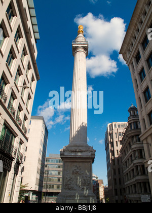 Das Monument von Sir Christopher Wren entworfen, zum Gedenken an den großen Brand von London 1666, City of London, England Stockfoto