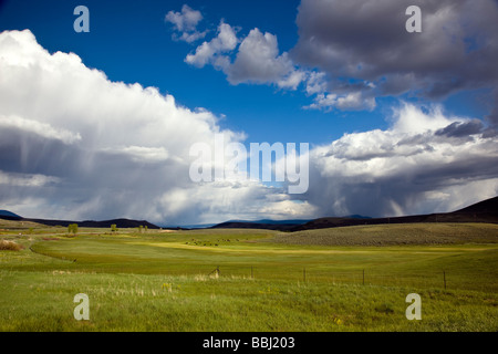 Frühling Blick südöstlich von Ranchland in Richtung Sawatch Range Berge und Clearing stürmischen Himmel Colorado USA Stockfoto