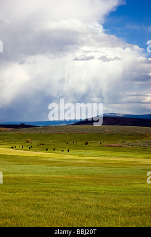 Frühling Blick südöstlich von Ranchland in Richtung Sawatch Range Berge und Clearing stürmischen Himmel Colorado USA Stockfoto