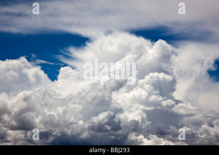 Geschwollene weißen Luž Wolken vor einem strahlend blauen Himmel Highway 50 Curecanti National Recreation Area Colorado USA Stockfoto