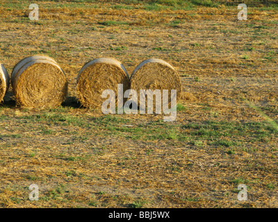 drei Strohballen im Feld in Bauernhof in Landschaft Stockfoto